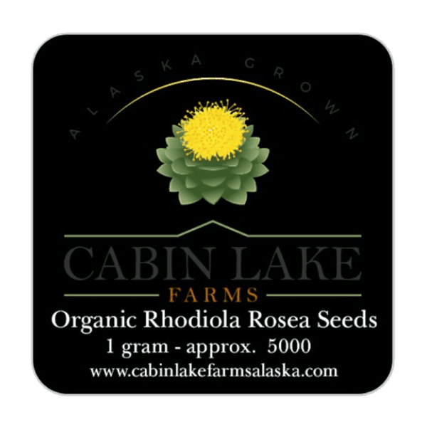 Rhodiola Rosea Seeds