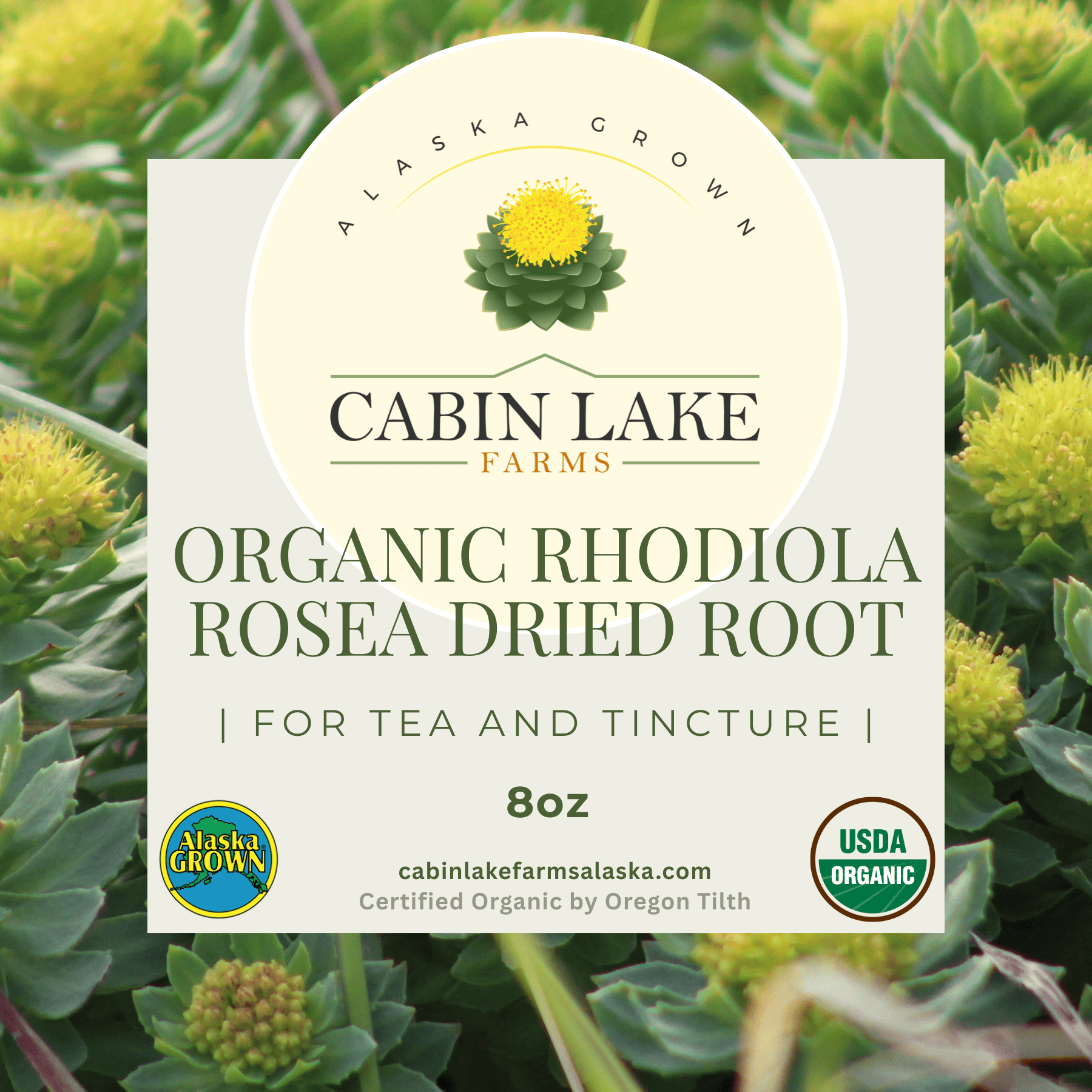 Rhodiola Rosea Dried Roots (8 ounces)